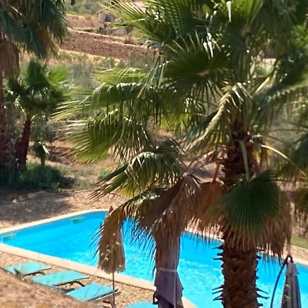 La Venturonne Appartement Neuf Rez De Jardin 45 M2 Vue Mer Et Vignes 10 Mn Des Plages Le Beausset Esterno foto