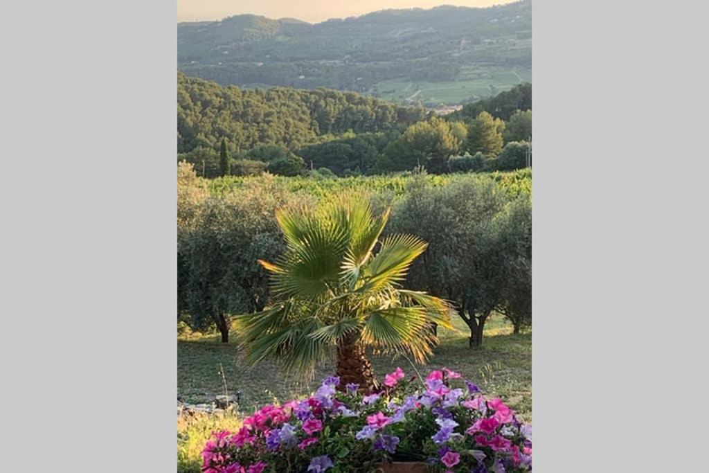 La Venturonne Appartement Neuf Rez De Jardin 45 M2 Vue Mer Et Vignes 10 Mn Des Plages Le Beausset Esterno foto