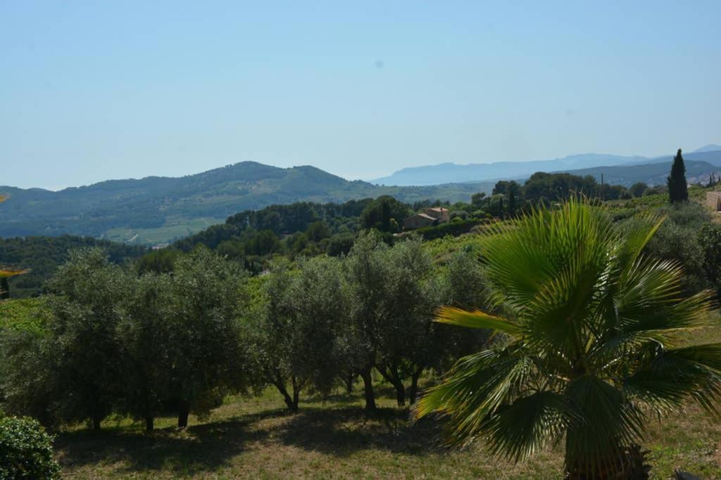 La Venturonne Appartement Neuf Rez De Jardin 45 M2 Vue Mer Et Vignes 10 Mn Des Plages Le Beausset Esterno foto