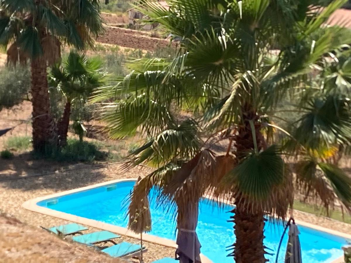 La Venturonne Appartement Neuf Rez De Jardin 45 M2 Vue Mer Et Vignes 10 Mn Des Plages Le Beausset Esterno foto
